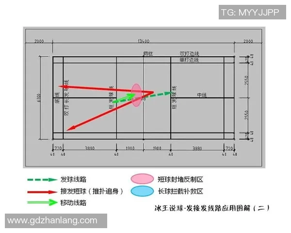 广州羽毛球队在世锦赛中的灵活性表现与战术分析